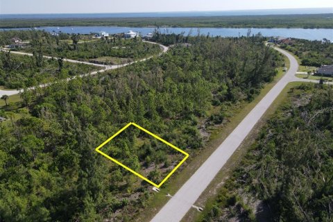 Land in Port Charlotte, Florida № 2164930