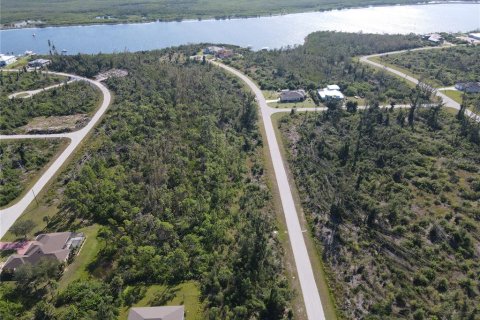 Land in Port Charlotte, Florida № 2164930 - photo 5