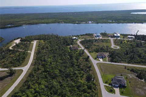 Land in Port Charlotte, Florida № 2164930 - photo 6