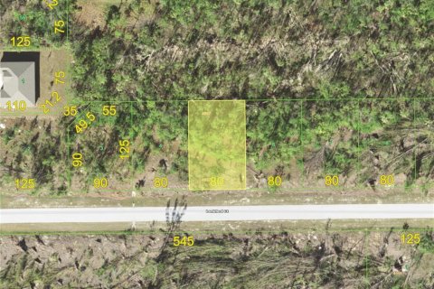 Land in Port Charlotte, Florida № 2164930 - photo 4