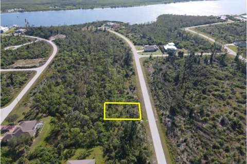 Land in Port Charlotte, Florida № 2164930 - photo 2