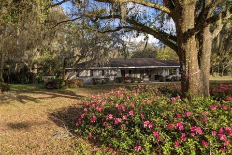 Land in Tampa, Florida № 2347053