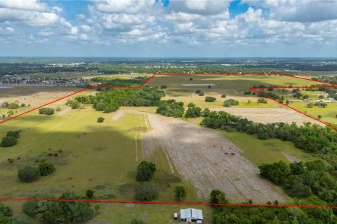 Land in Arcadia, Florida № 1755604 - photo 4