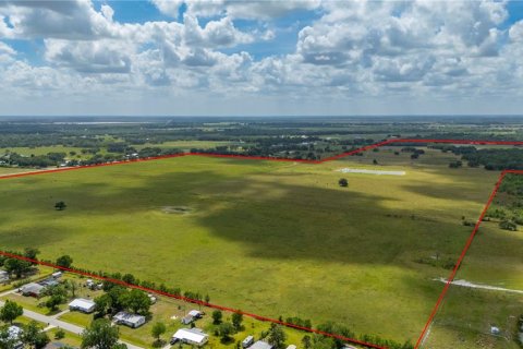 Land in Arcadia, Florida № 1755604 - photo 3
