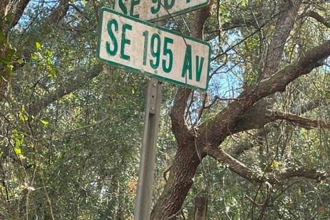 Land in Ocklawaha, Florida № 2161696 - photo 2
