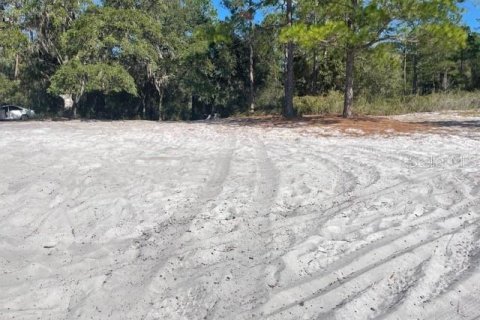 Land in Ocklawaha, Florida № 2161696 - photo 4