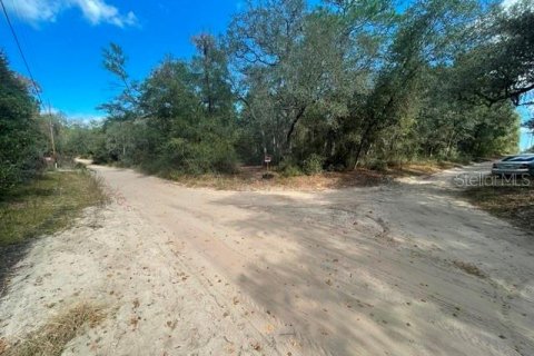 Land in Ocklawaha, Florida № 2161696 - photo 3