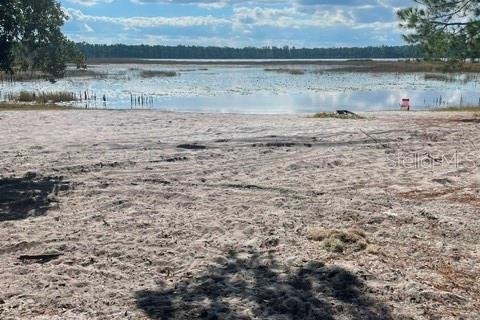Land in Ocklawaha, Florida № 2161696 - photo 10