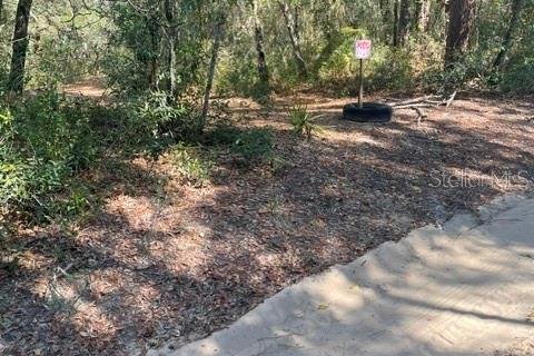 Land in Ocklawaha, Florida № 2161696 - photo 5