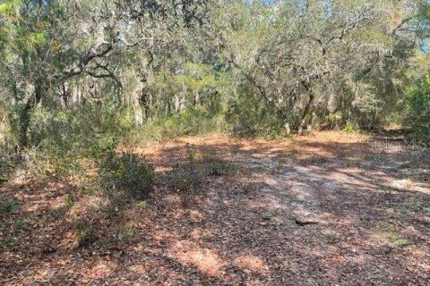 Land in Ocklawaha, Florida № 2161696