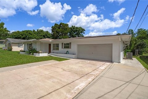 Villa ou maison à vendre à Inverness, Floride: 2 chambres, 107.12 m2 № 1813812 - photo 3