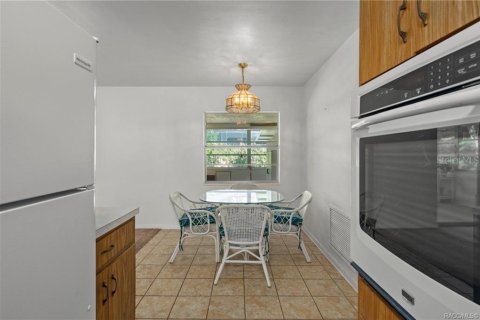 Villa ou maison à vendre à Inverness, Floride: 2 chambres, 107.12 m2 № 1813812 - photo 13