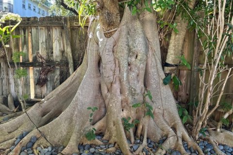 Villa ou maison à louer à Miami, Floride: 1 chambre, 55.74 m2 № 1985917 - photo 4