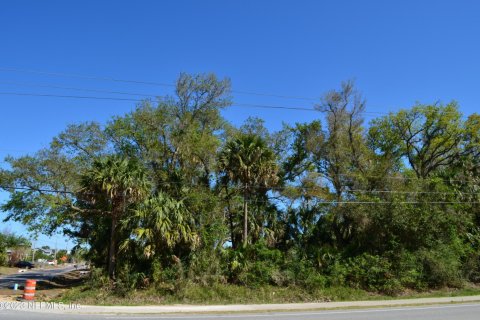 Land in Palm Coast, Florida № 766359 - photo 1
