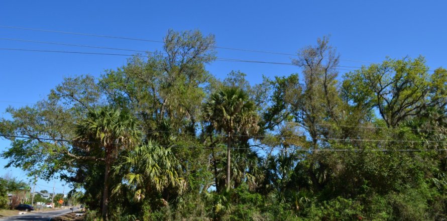 Land in Palm Coast, Florida № 766359