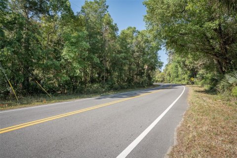 Land in Astor, Florida № 1718133 - photo 23