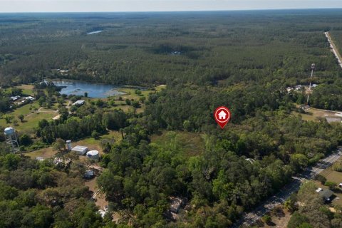 Land in Astor, Florida № 1718133 - photo 2
