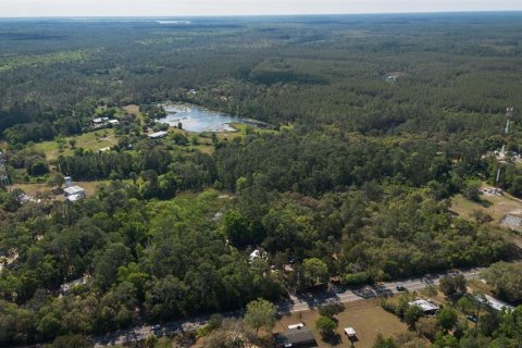 Land in Astor, Florida № 1718133 - photo 7