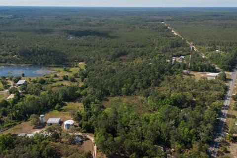 Land in Astor, Florida № 1718133 - photo 10