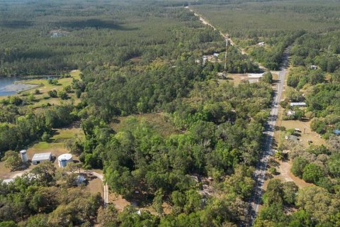 Land in Astor, Florida № 1718133 - photo 11