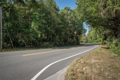Land in Astor, Florida № 1718133 - photo 22