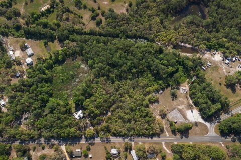 Land in Astor, Florida № 1718133 - photo 20