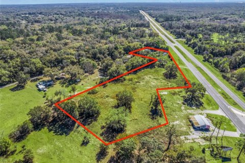 Commercial property in Wildwood, Florida № 1242616 - photo 8