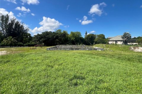 Immobilier commercial à vendre à Southwest Ranches, Floride № 1701585 - photo 24