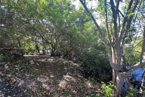 Commercial property in Southwest Ranches, Florida № 1701585 - photo 12