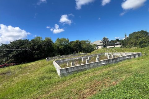 Immobilier commercial à vendre à Southwest Ranches, Floride № 1701585 - photo 25