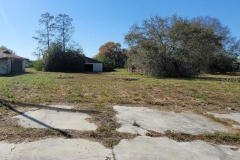 Commercial property in Bradenton, Florida № 2233666 - photo 2