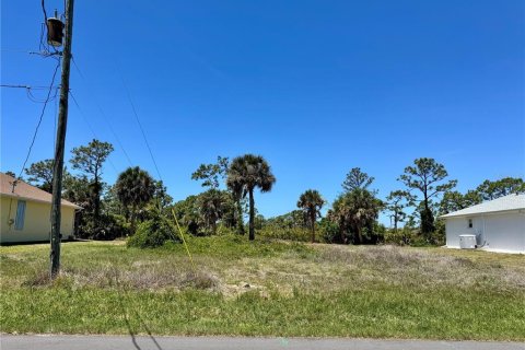 Terrain à vendre à Rotonda, Floride № 2205764 - photo 4