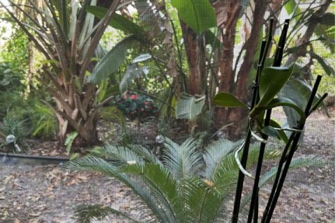 Copropriété à vendre à Palm Harbor, Floride: 2 chambres, 97.55 m2 № 2109879 - photo 12