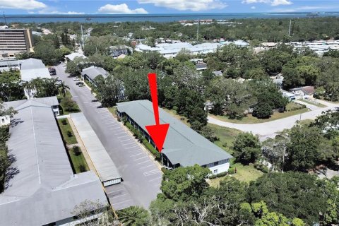Condo in Dunedin, Florida, 2 bedrooms  № 1640074 - photo 3