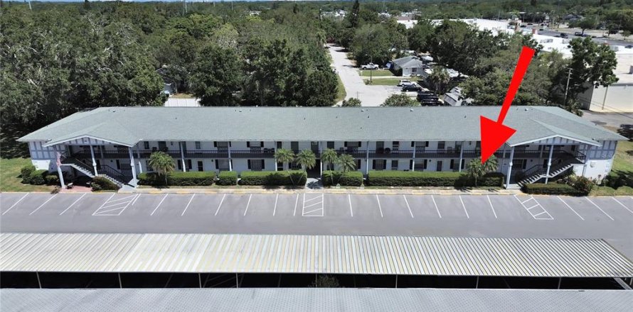 Condo in Dunedin, Florida, 2 bedrooms  № 1640074