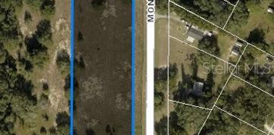 Commercial property in Astatula, Florida № 876801