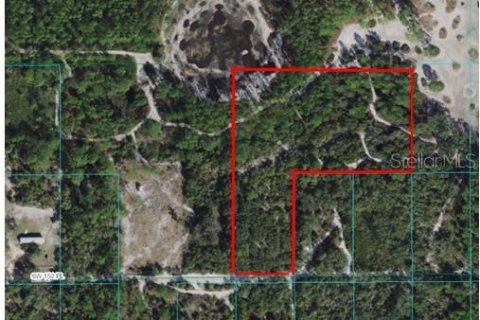 Land in Dunnellon, Florida № 1113693 - photo 1