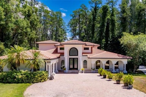 House in Lutz, Florida 4 bedrooms, 412.11 sq.m. № 2234805