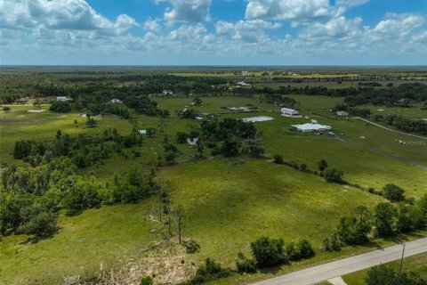 Land in Myakka City, Florida № 1720442 - photo 5