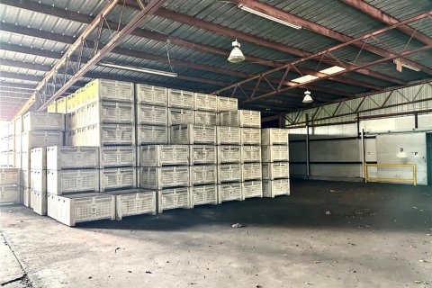Propiedad comercial en venta en Wimauma, Florida № 1910184 - foto 11