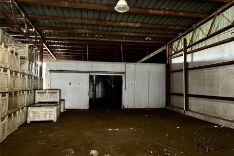 Propiedad comercial en venta en Wimauma, Florida № 1910184 - foto 12