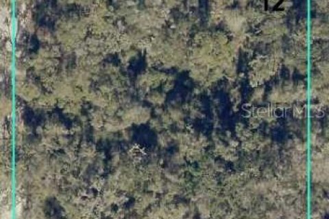 Terrain à Webster, Floride № 2229207