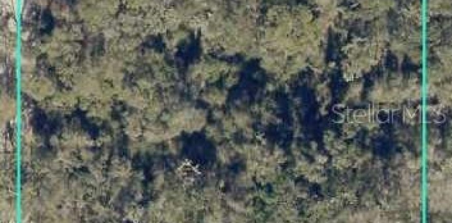Terrain à Webster, Floride № 2229207