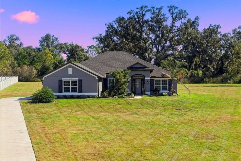 House in Dade City, Florida 4 bedrooms, 237.37 sq.m. № 2157373 - photo 2