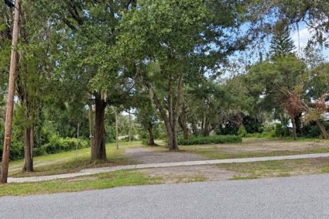 Terrain à vendre à Riverview, Floride № 2431755 - photo 4