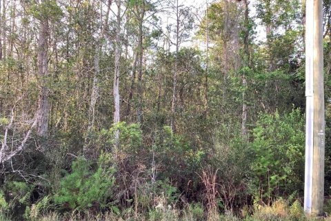 Land in Orlando, Florida № 1834655 - photo 1