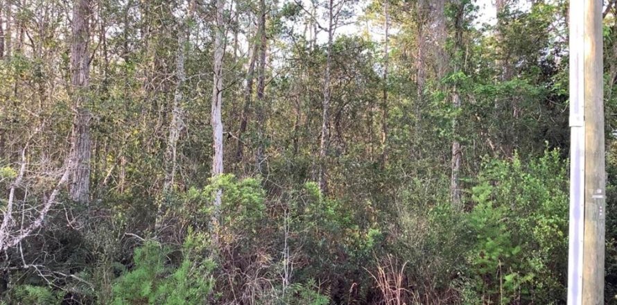 Land in Orlando, Florida № 1834655