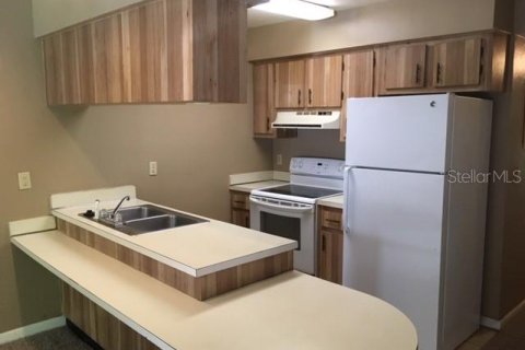 Studio in the Condo in Gainesville, Florida  № 2394123 - photo 3