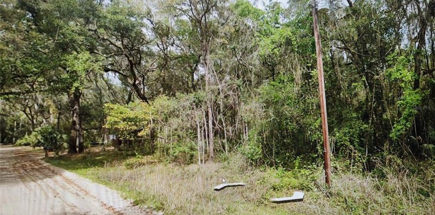 Land in Interlachen, Florida № 2214951