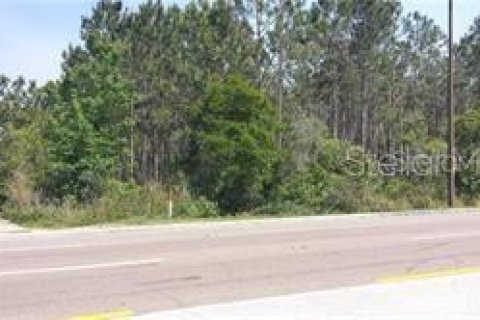 Land in Orlando, Florida № 214498 - photo 8